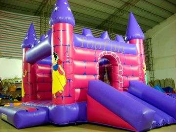 Water Proff Artwork Princess Water Jumping Castles Pink 6 x 6m Awesome Combo