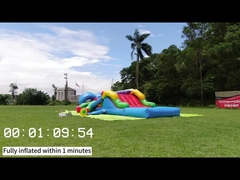 الملك 31 شيانغ تشينغ