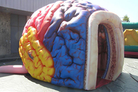 نفخ نموذج الدماغ ميجا الأجهزة المعرض العملاق الإنسان كبير الدماغ خيمة