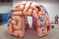 نفخ نموذج الدماغ خيمة نفخ المؤتمرات الطبية - الدماغ العملاق