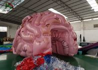 تخصيص حجم نفخ الحدث خيمة محاكاة نموذج الدماغ للعرض الطبي